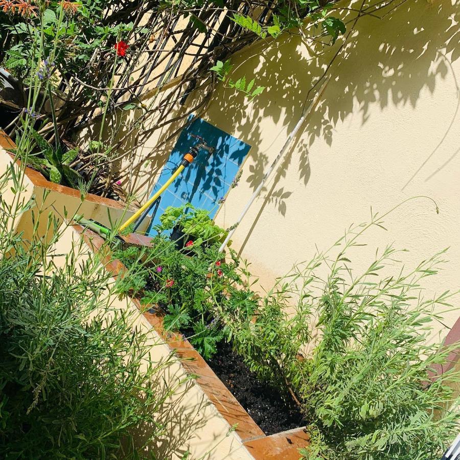 ホテル La Finestra Nel Giardino ナポリ エクステリア 写真